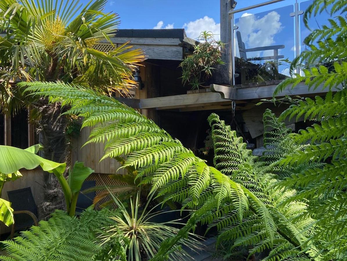 Jungle Cabin Martin Mill Buitenkant foto