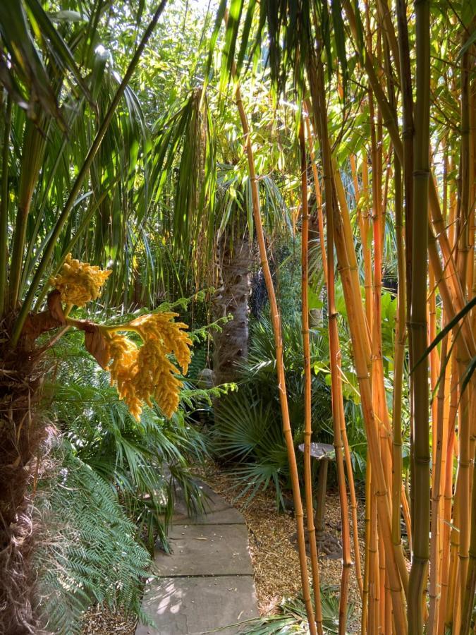 Jungle Cabin Martin Mill Buitenkant foto
