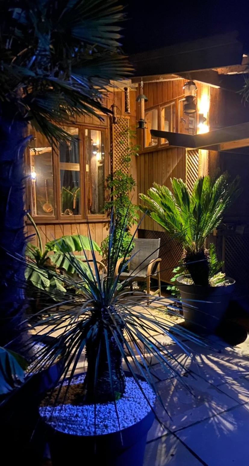 Jungle Cabin Martin Mill Buitenkant foto
