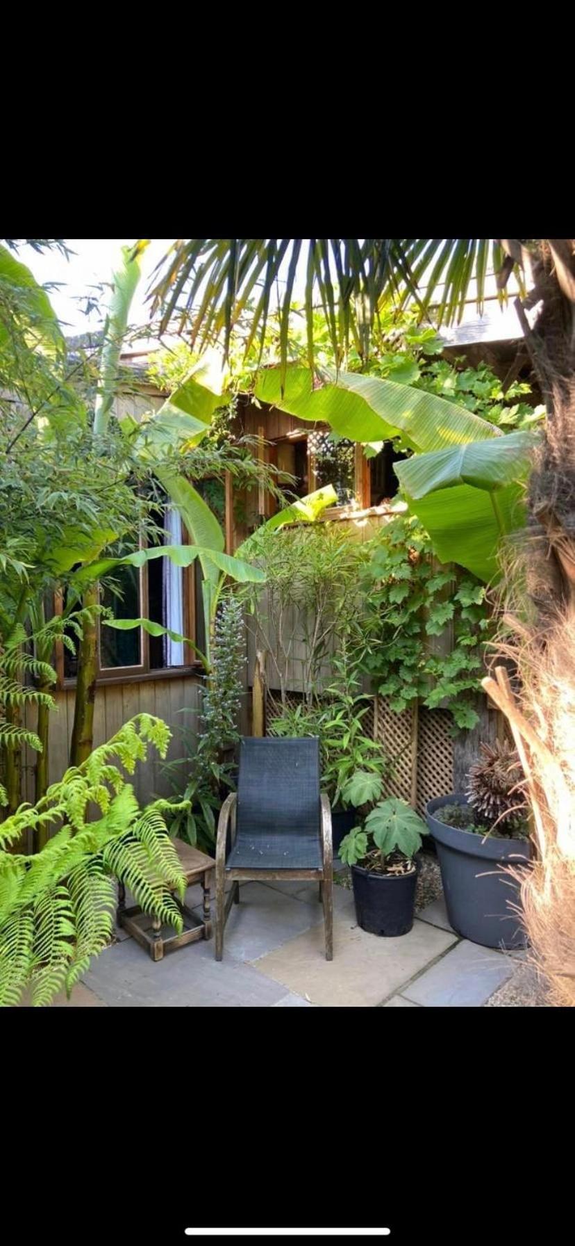Jungle Cabin Martin Mill Buitenkant foto